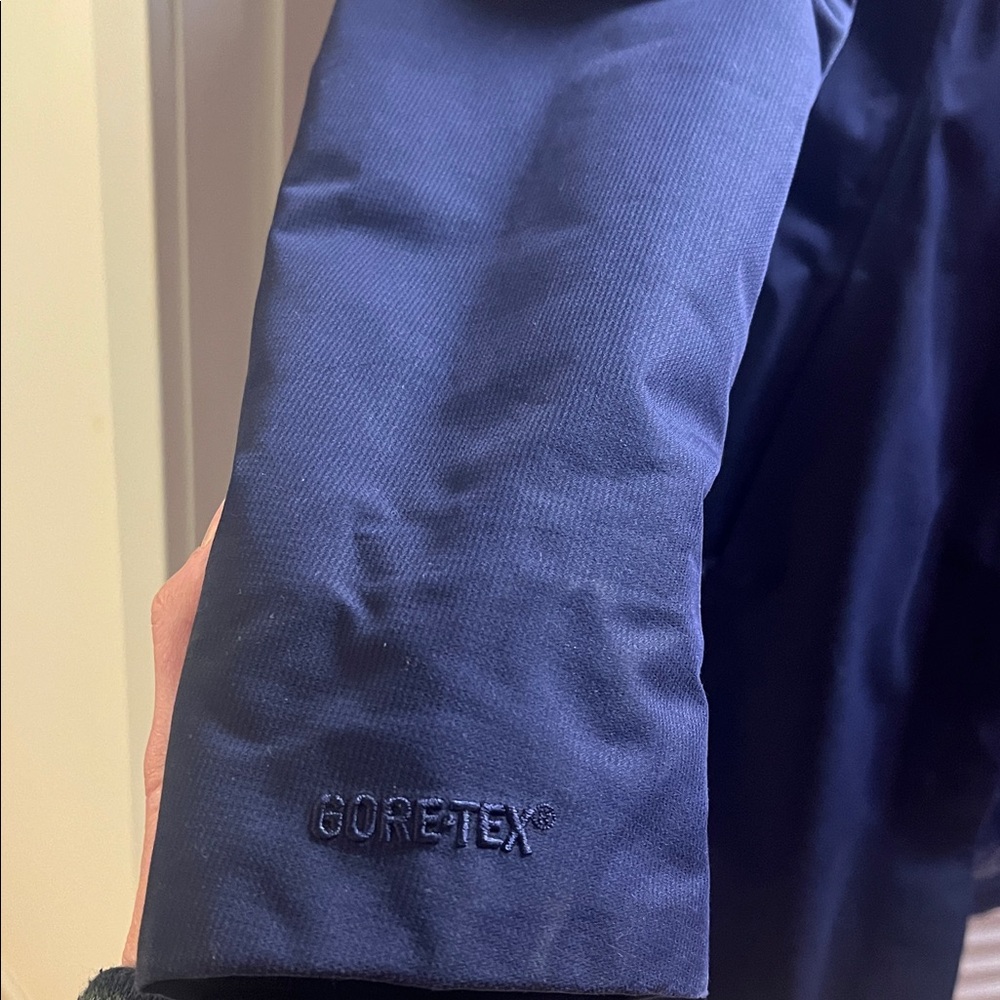 Arcteryx Patera Parka - Picture 10 of 10